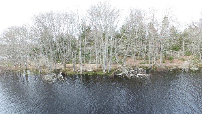 WentworthHalbinsel (69)